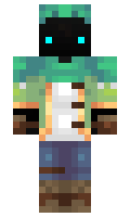 d8af0fe5b0d439 minecraft skin