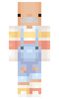 d8b263fdf45dee minecraft skin