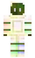 d8bdf4b1565a49 minecraft skin