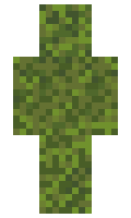 Partiv minecraft skin