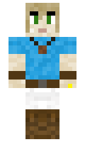 d8d371422bebb8 minecraft skin