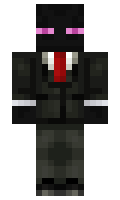 TomyRM2010 minecraft skin