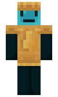 d8e420e571a048 minecraft skin