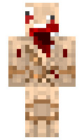 ganderson minecraft skin