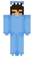 d902e1efa33513 minecraft skin
