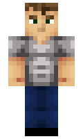 Fia minecraft skin