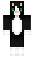 oogabooga1231234 minecraft skin