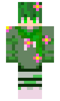 d9204230540c52 minecraft skin