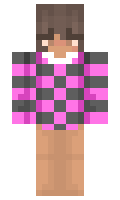 d925d629377117 minecraft skin