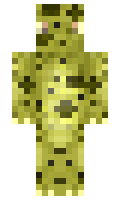 d93135f657c434 minecraft skin