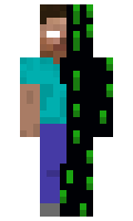 d94d02e8cf2cdf minecraft skin