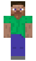 Nioah minecraft skin