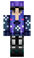 collmeme minecraft skin