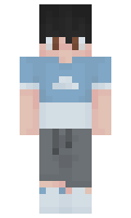 d9817f9fbb9337 minecraft skin