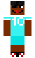 oskukana minecraft skin