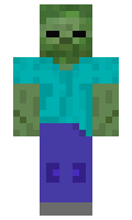 NeoZhangMC minecraft skin