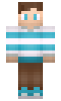 Regalos minecraft skin