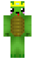 Steves minecraft skin