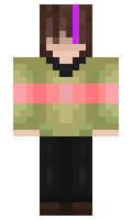 d9ef7ca2565f2a minecraft skin