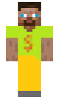 SomaSom minecraft skin