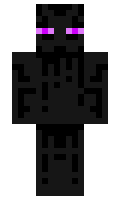 Vracket minecraft skin