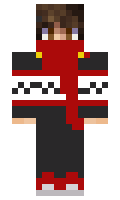 randomyz minecraft skin