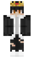 ProPlayerMC minecraft skin