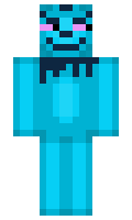 rockesalt minecraft skin