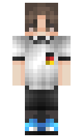 300T minecraft skin