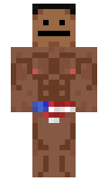 629 minecraft skin