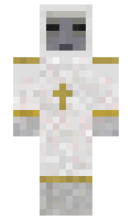Twdomer31 minecraft skin