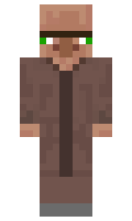 michl minecraft skin