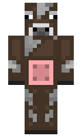Honor596 minecraft skin