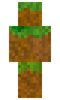 MeneerBlok minecraft skin