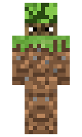 db22033ab447c5 minecraft skin