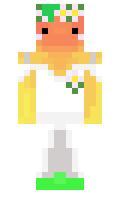 ccaru minecraft skin