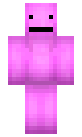 micd minecraft skin