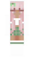 db5905db576883 minecraft skin