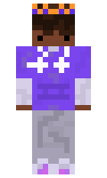 db6958da334434 minecraft skin