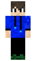 Noraxii minecraft skin
