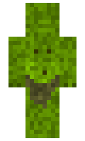 Zyergloiken minecraft skin