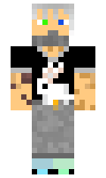 ItsMeAshDragon minecraft skin