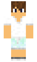 dbaf69b850cd5f minecraft skin