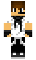 wogon minecraft skin