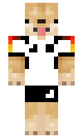 SafeWarrior2419 minecraft skin