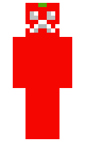 dbc9ef0f2e91ac minecraft skin