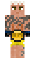 DxrkPaper minecraft skin