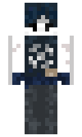 McDna minecraft skin