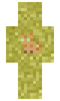 dc1b4a47a9bd3b minecraft skin