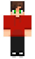 dc8bff3a8bb295 minecraft skin